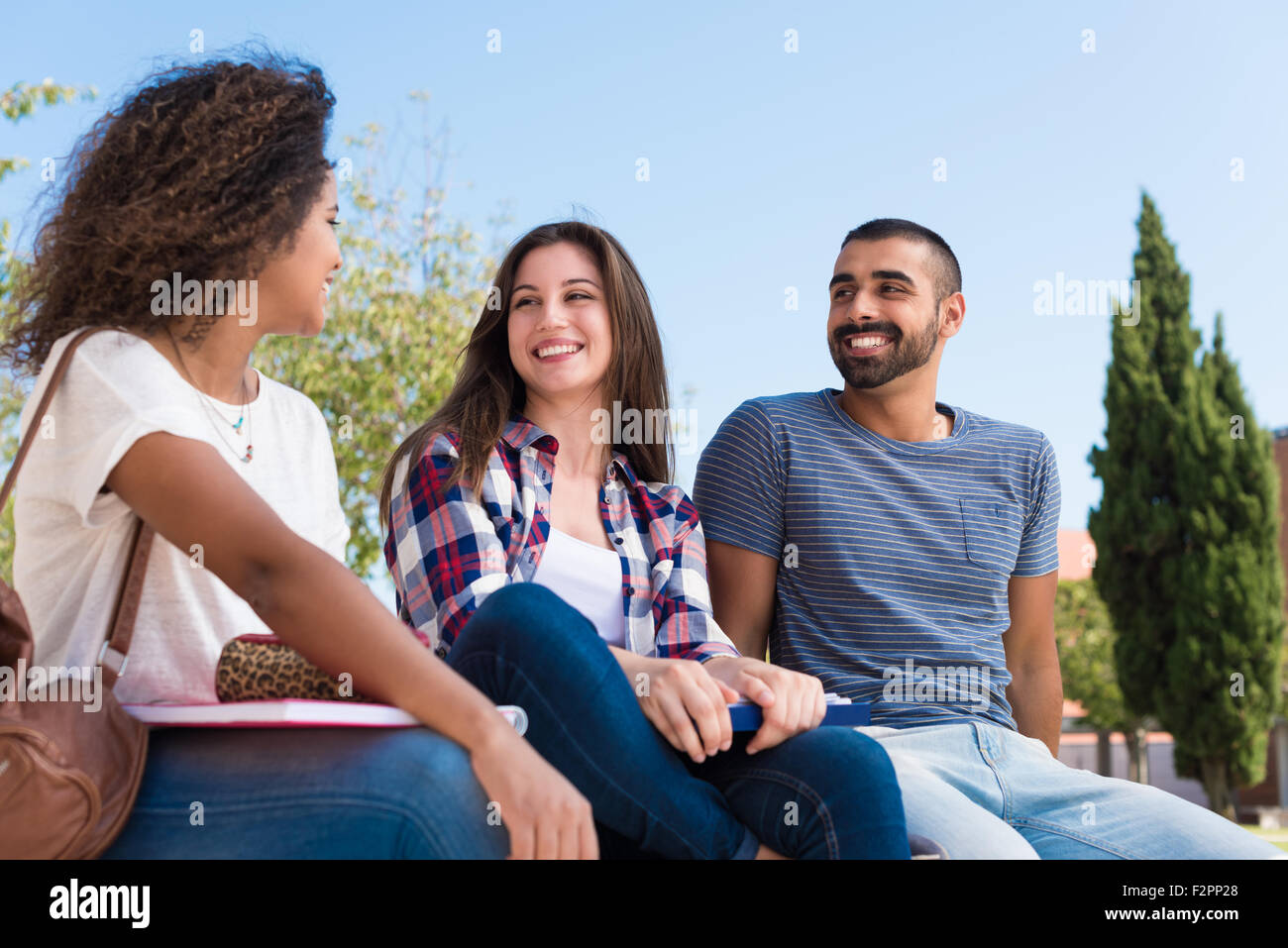 Students sitting on the grass at School Campus Stock Photo - Alamy