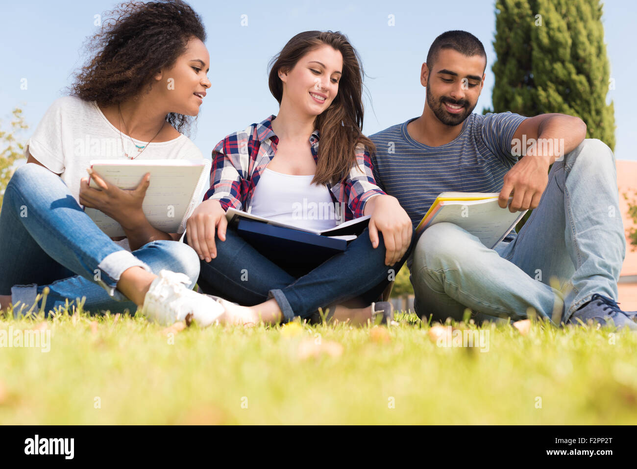 Students sitting on the grass at School Campus Stock Photo - Alamy