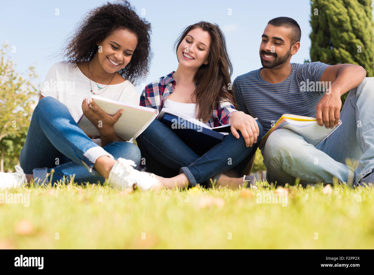 Students sitting on the grass at School Campus Stock Photo - Alamy