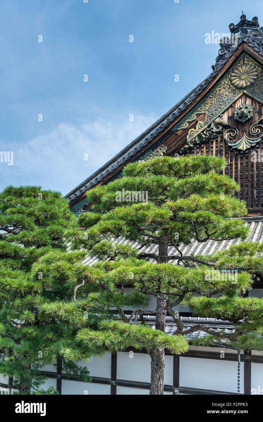 Japanese pine trees in front the apex of a traditional wooden Japanese building Stock Photo