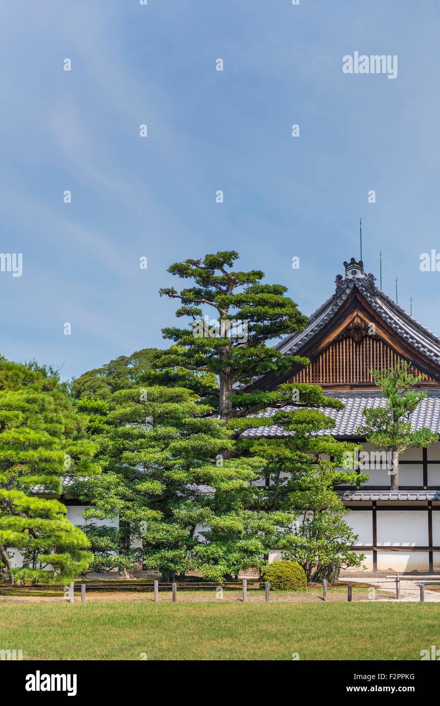 Japanese pine trees in front the end wall of a traditional wooden Japanese building Stock Photo