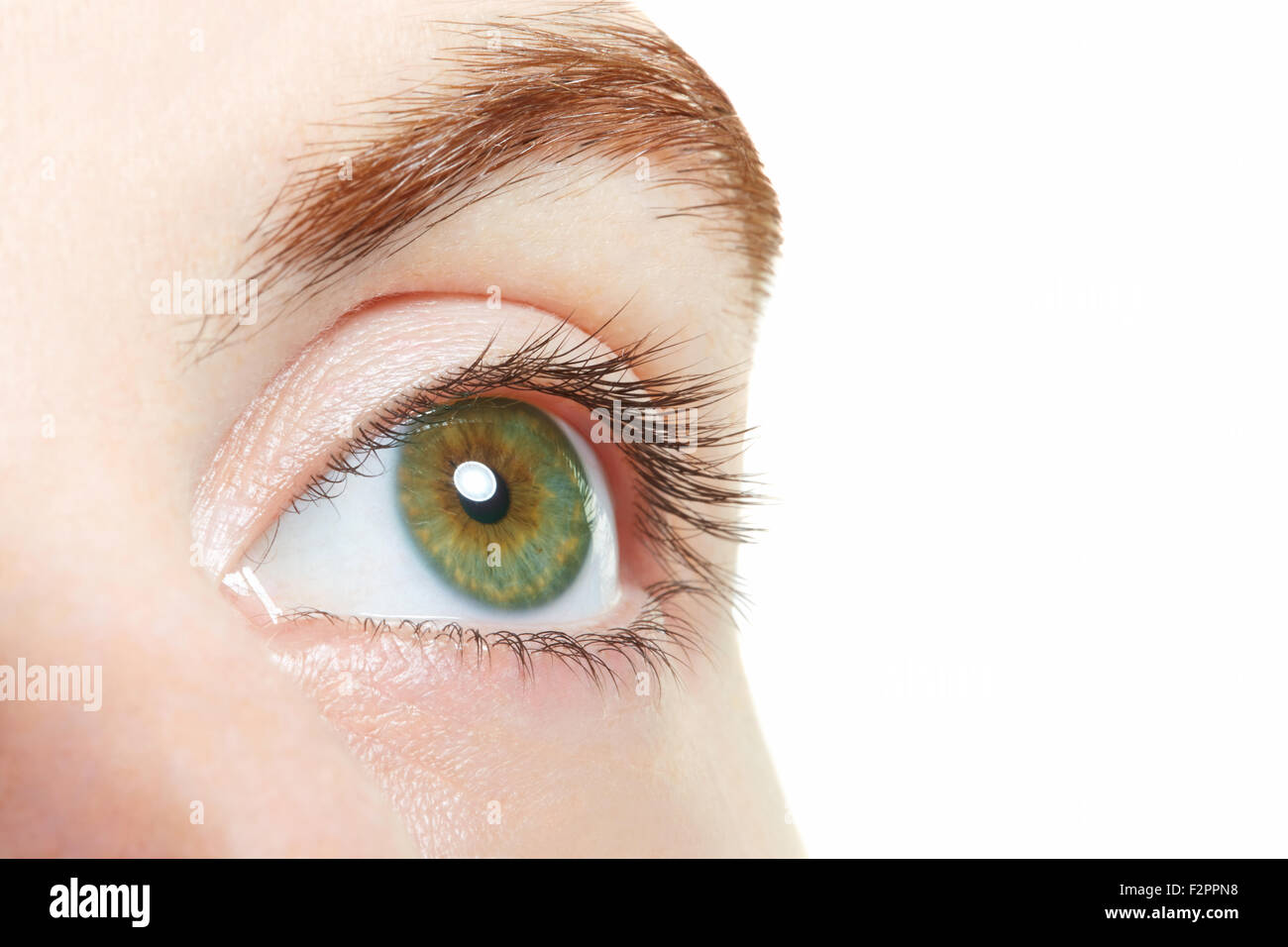 Human, green healthy eye macro on white background Stock Photo
