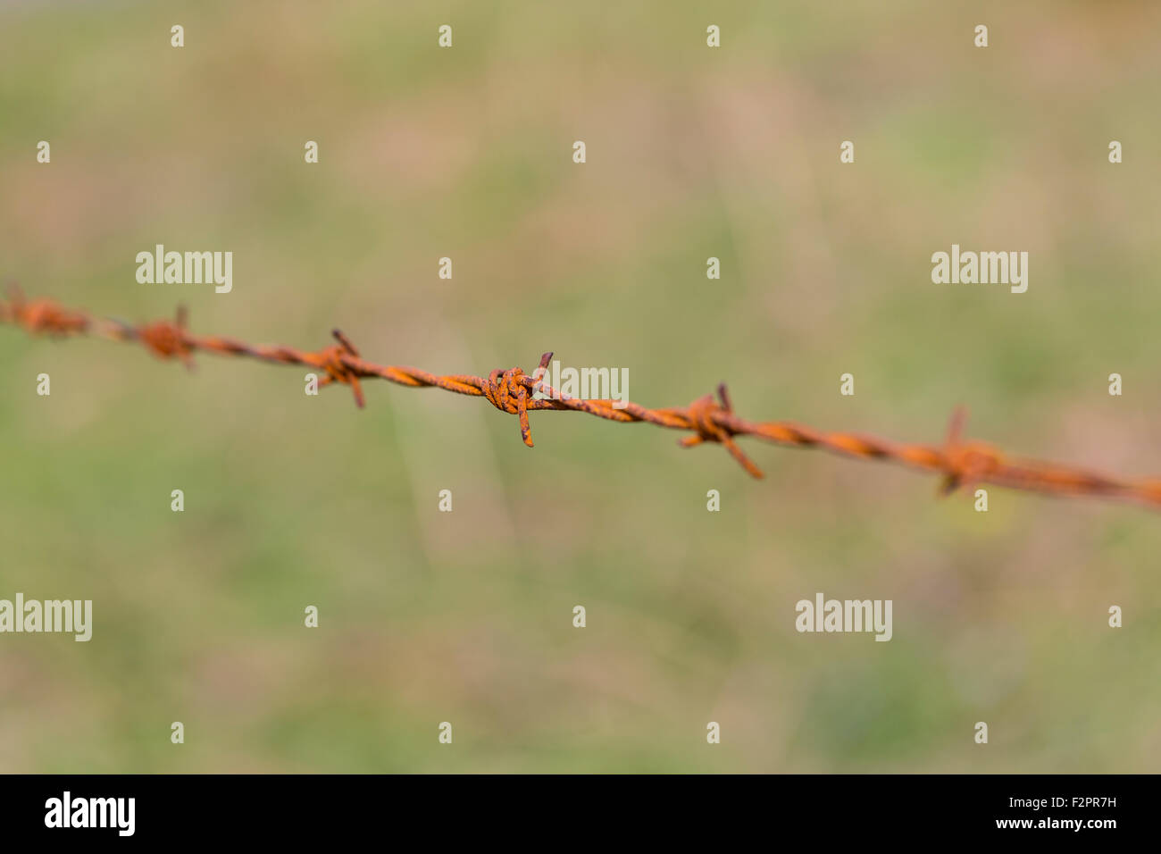 Close up detail of rusty barbed wire fence, UK Stock Photo