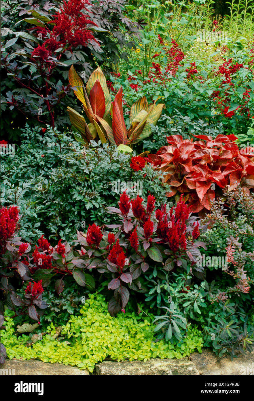 Red flowers and foliage in landscape garden design with rock border, Columbia Missouri USA Stock Photo