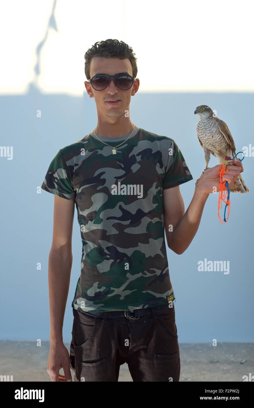 Falconer at the annual Festival de L'epervier or Falconry Festival at