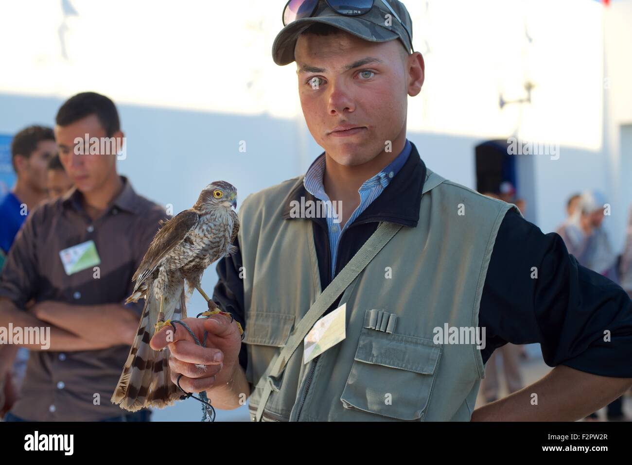 Falconer at the annual Festival de L'epervier or Falconry Festival at