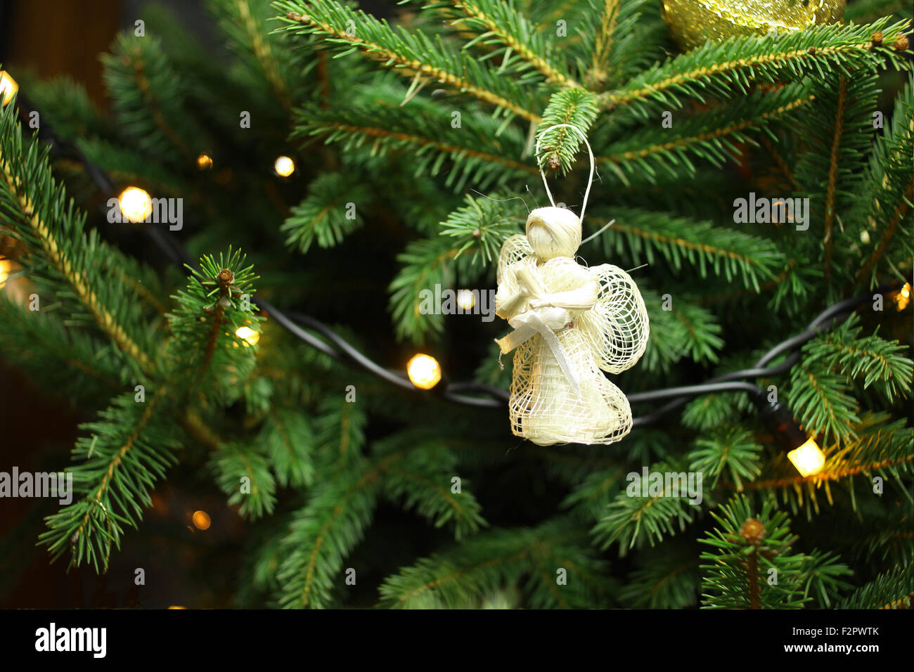 Christmas angel on christmas tree branch, lights hanging in a tree