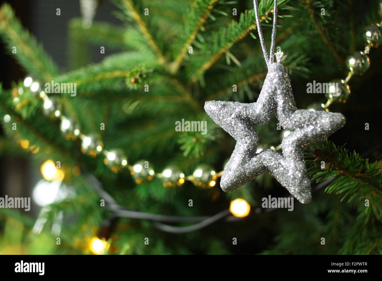 Christmas, silver star on christmas tree branch, lights hanging in a ...