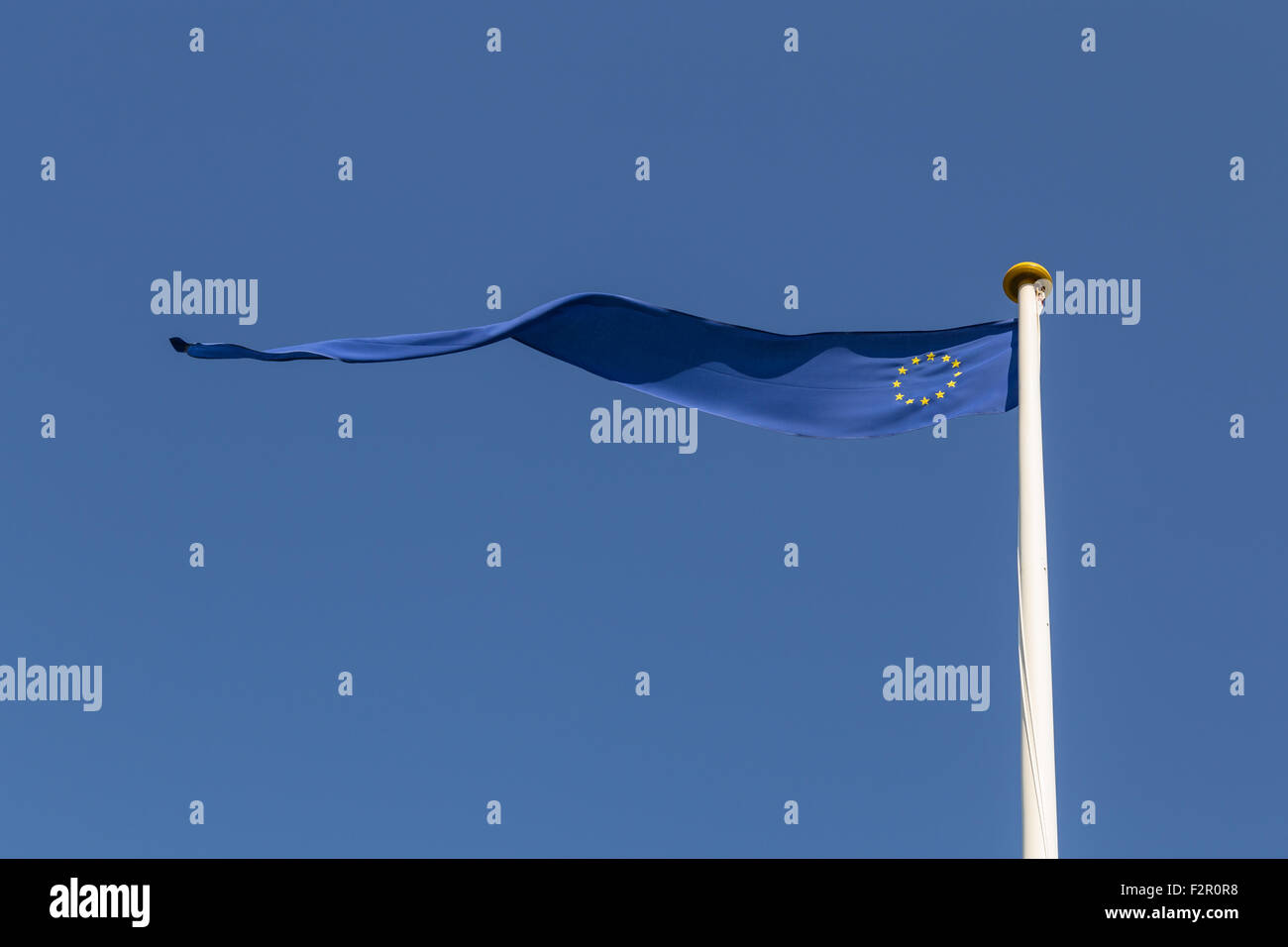 Photograph of a long and thin European flag. Stock Photo