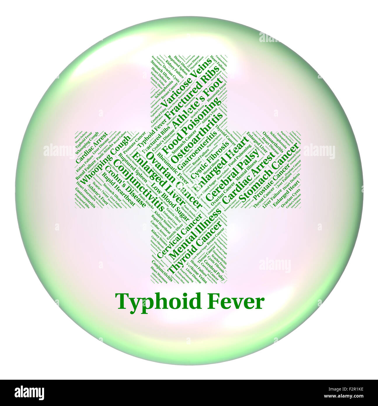 Typhoid Fever Representing Symptomatic Bacterial Infection And