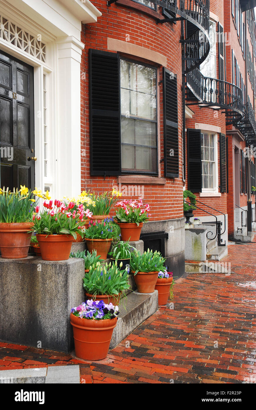 Spring flowers blooming in Boston's historic Back Bay neighborhood