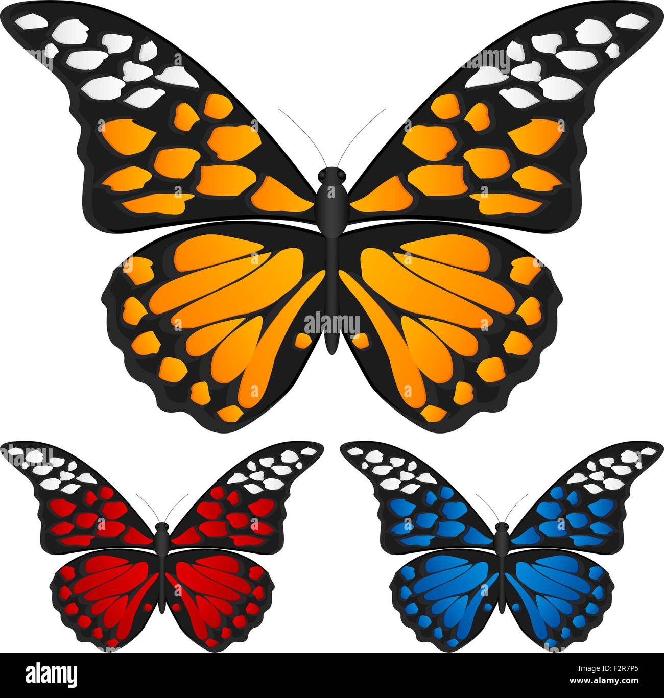 Butterfly set isolated on white background, Vector illustration Stock ...
