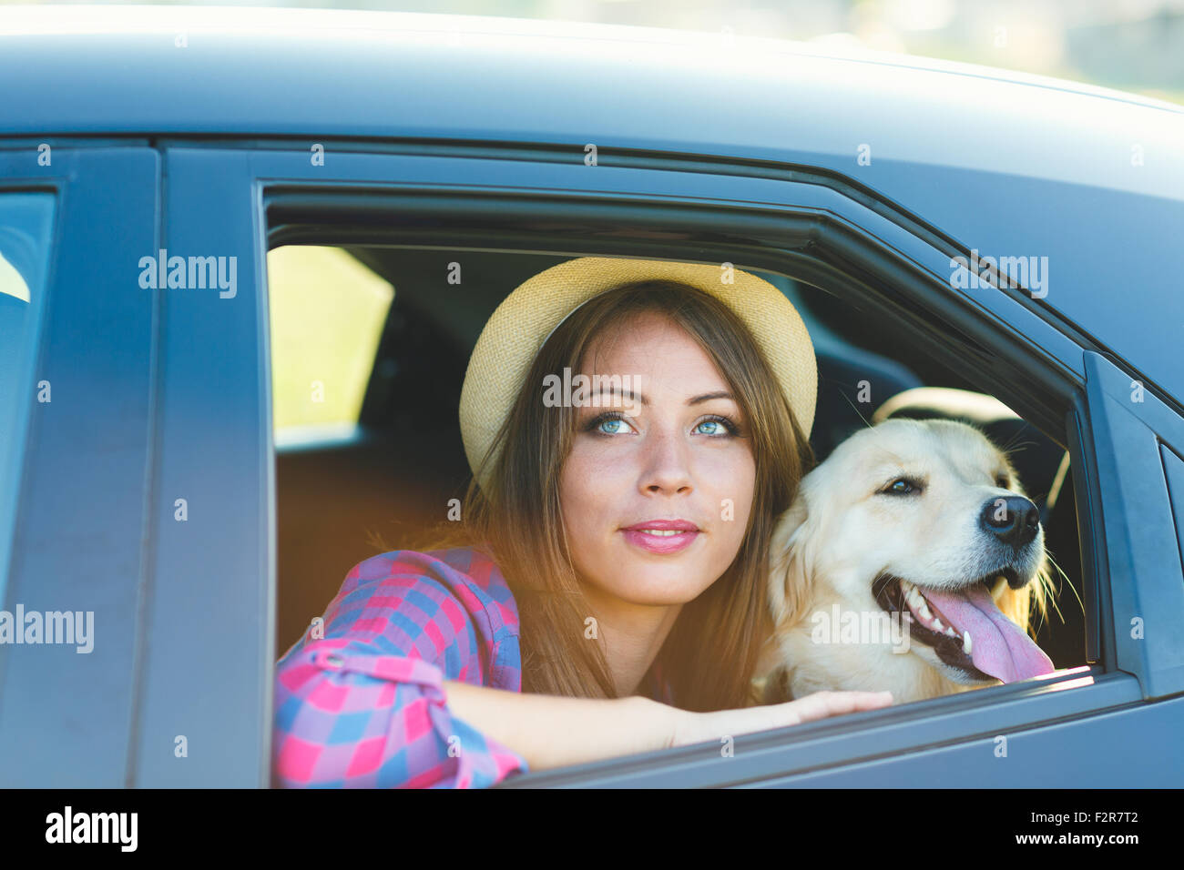 Woman and dog in car on summer travel. Vacation with pet concept Stock ...