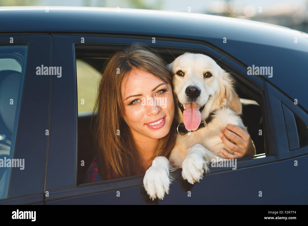 Woman and dog in car on summer travel. Vacation with pet concept Stock Photo Alamy