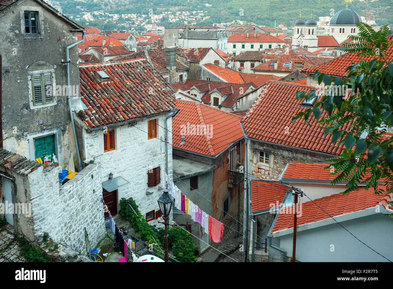 Bird eye view of buildings in Kotor old town, Montenegro, Balkans Stock Photo