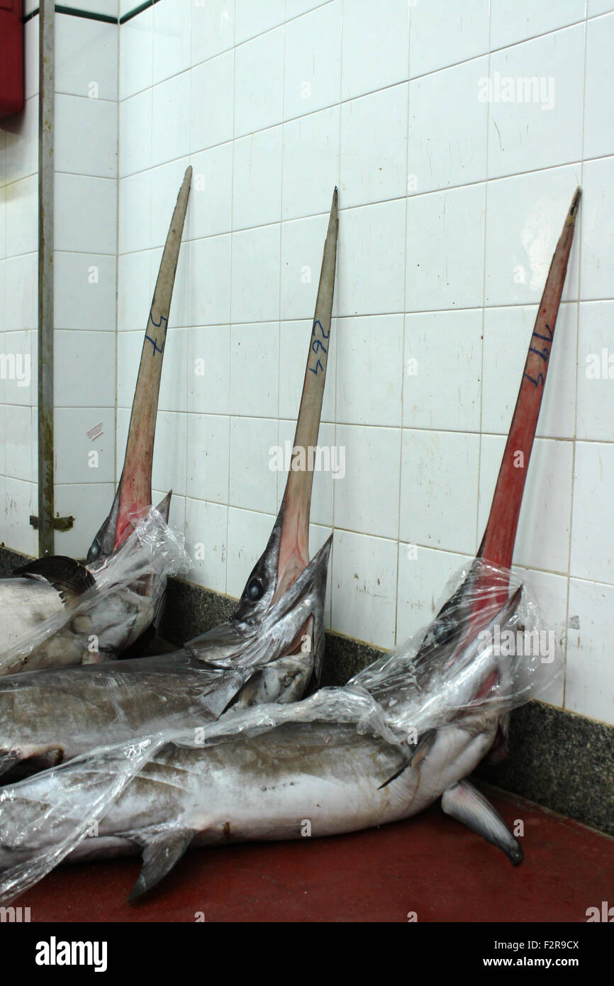Fish market: swordfish Stock Photo
