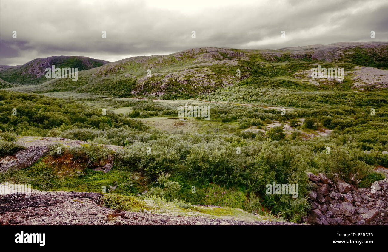 hills with tundra above Arctic circle Stock Photo Alamy