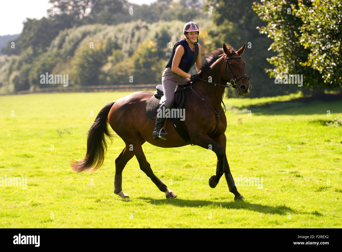 Woman horse riding canter hires stock photography and images Alamy