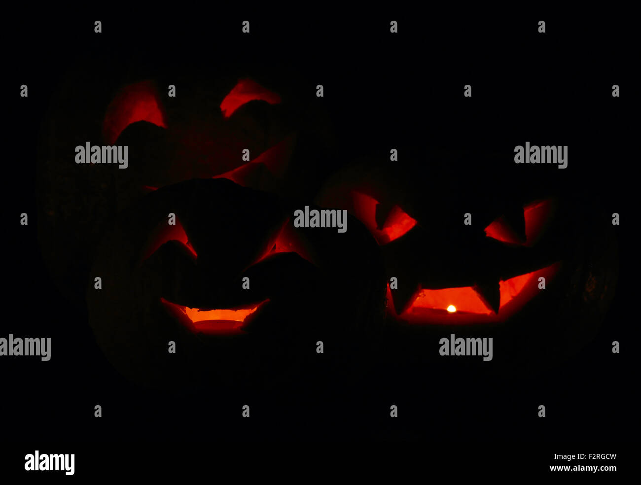Illuminated cute halloween pumpkins isolated on black background Stock ...