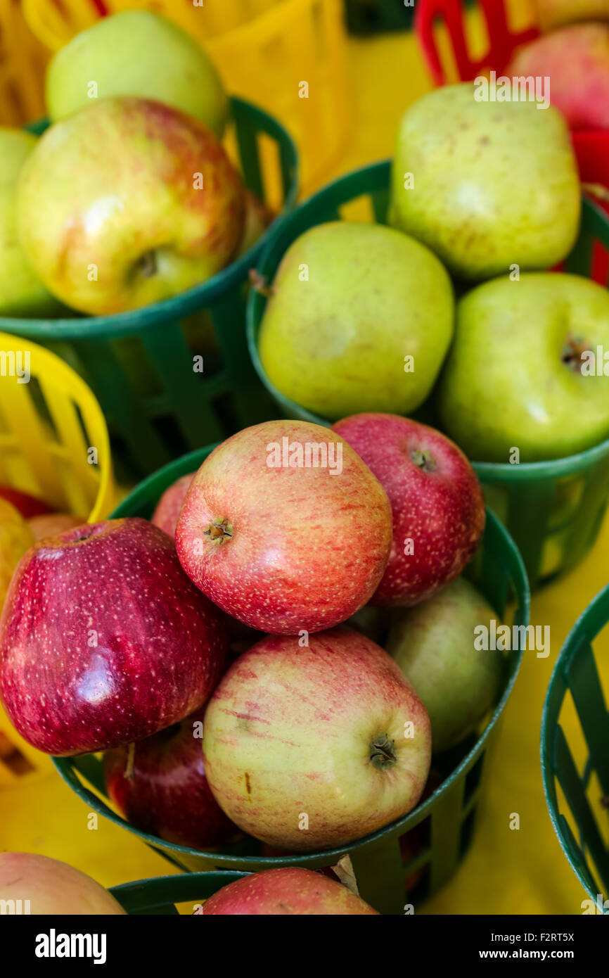 Locally grown apples on display at the Farmers Market along Main Street