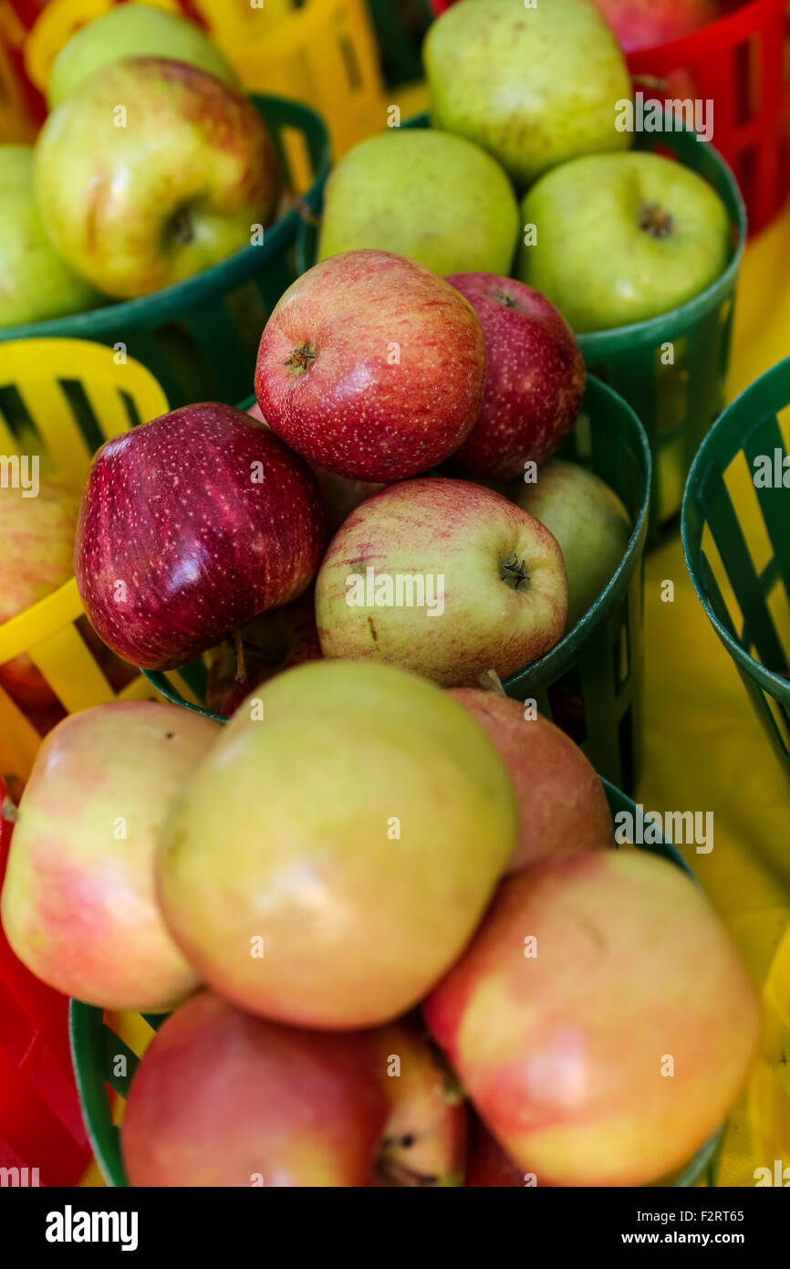 Locally grown apples on display at the Farmers Market along Main Street