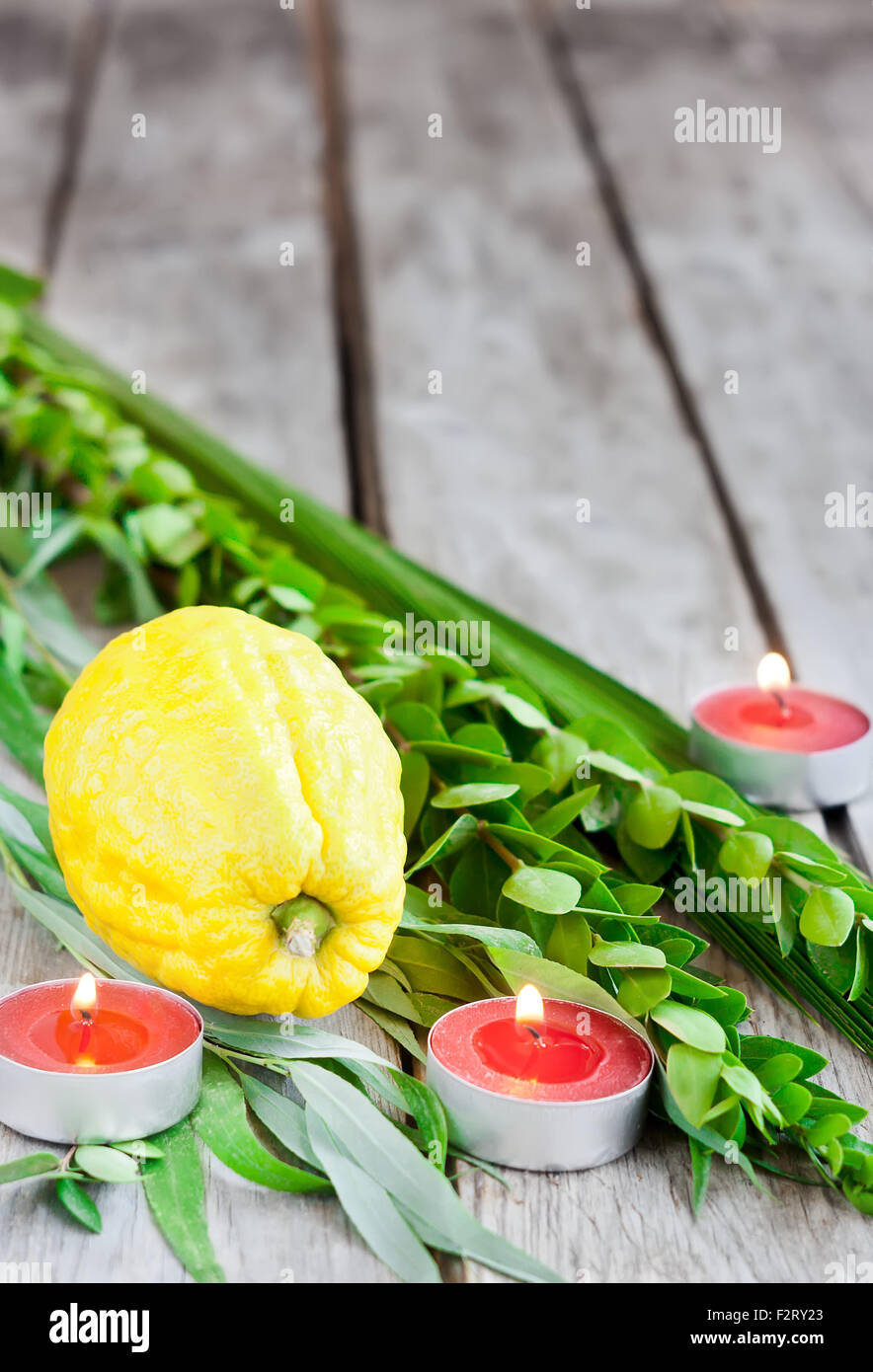 Symbols of jewish fall festival of Sukkot, lulav - etrog, palm branch, myrtle and willow - on old wooden background. Stock Photo