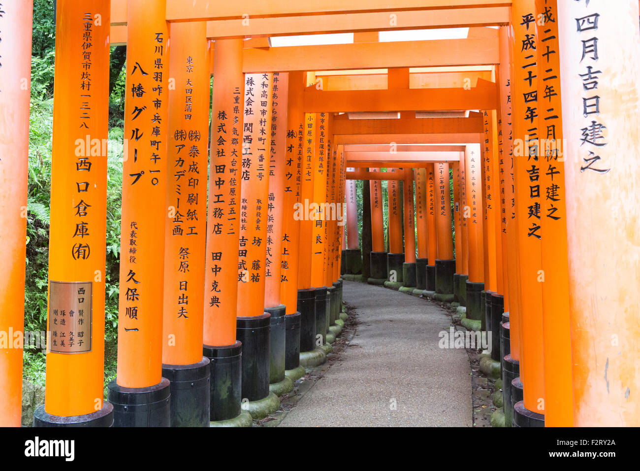 Kinkankuji Temple High Resolution Stock Photography And Images Alamy