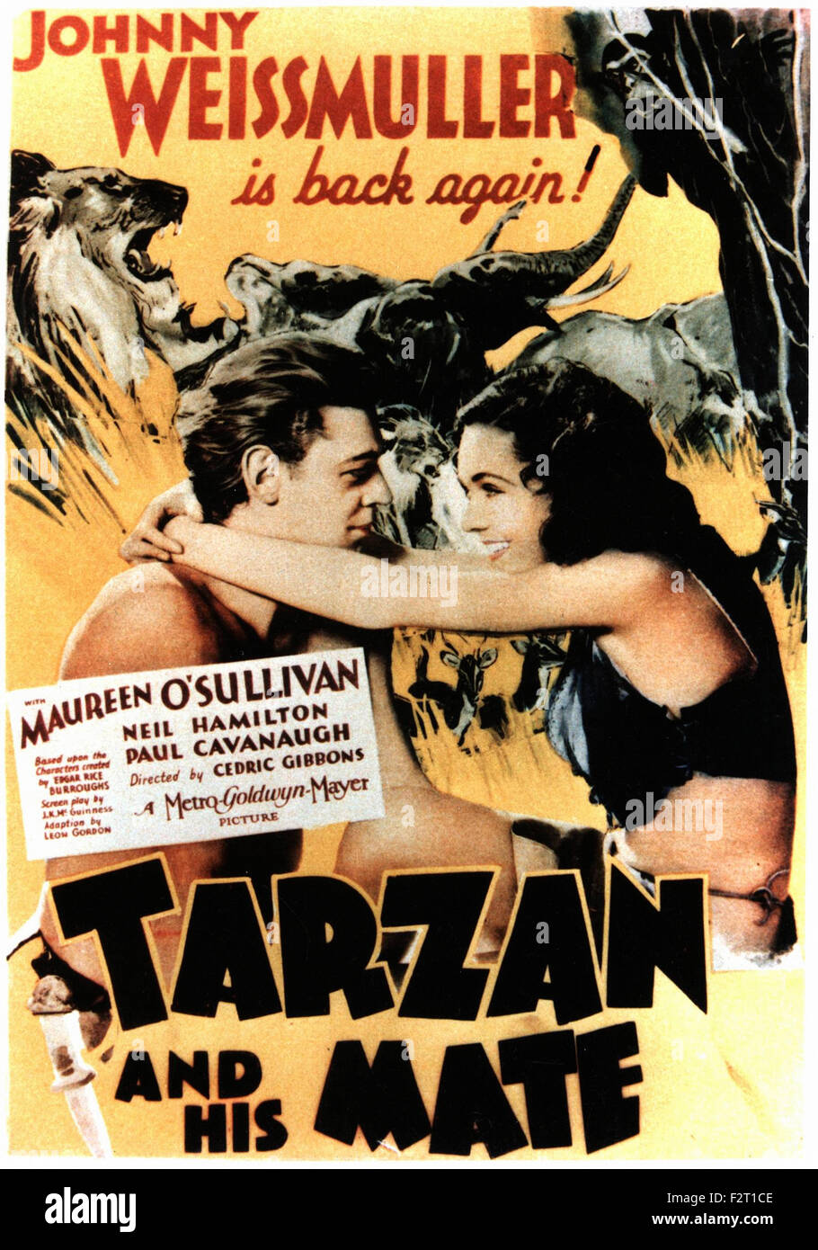 Tarzan and His Mate - Movie Poster Stock Photo