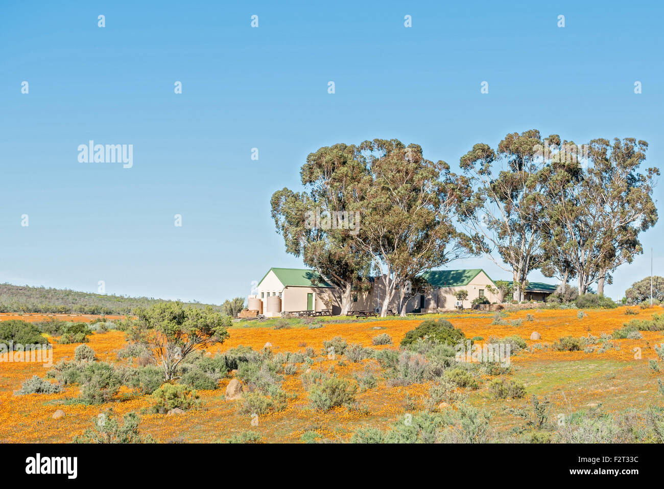 SKILPAD, SOUTH AFRICA - AUGUST 14, 2015: The office buildings of the Namaqua National Park at Skilpad (tortoise) with orange dai Stock Photo