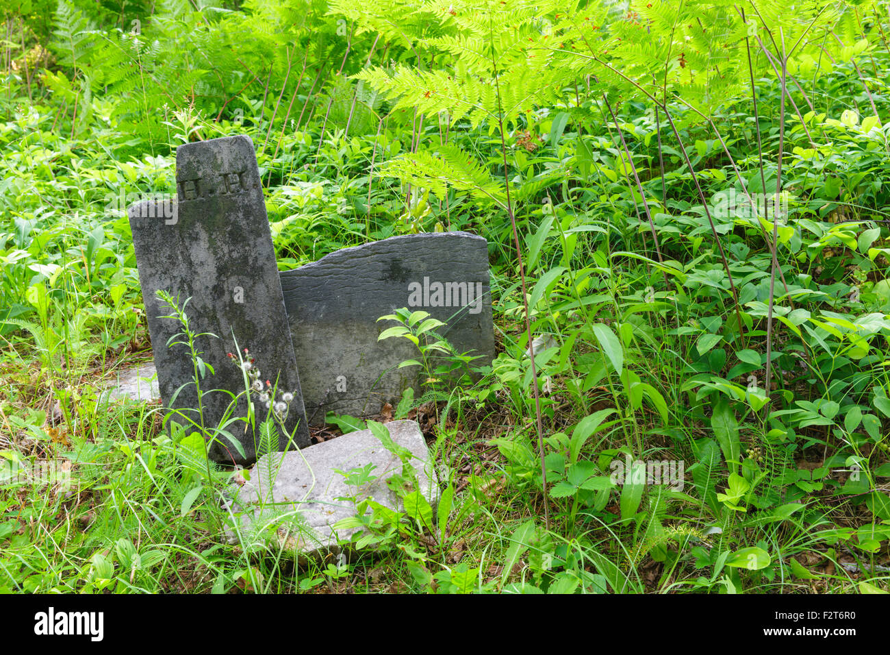 GilmanHall Cemetery along Sandwich Notch Road in Sandwich, New Hampshire USA Stock Photo Alamy