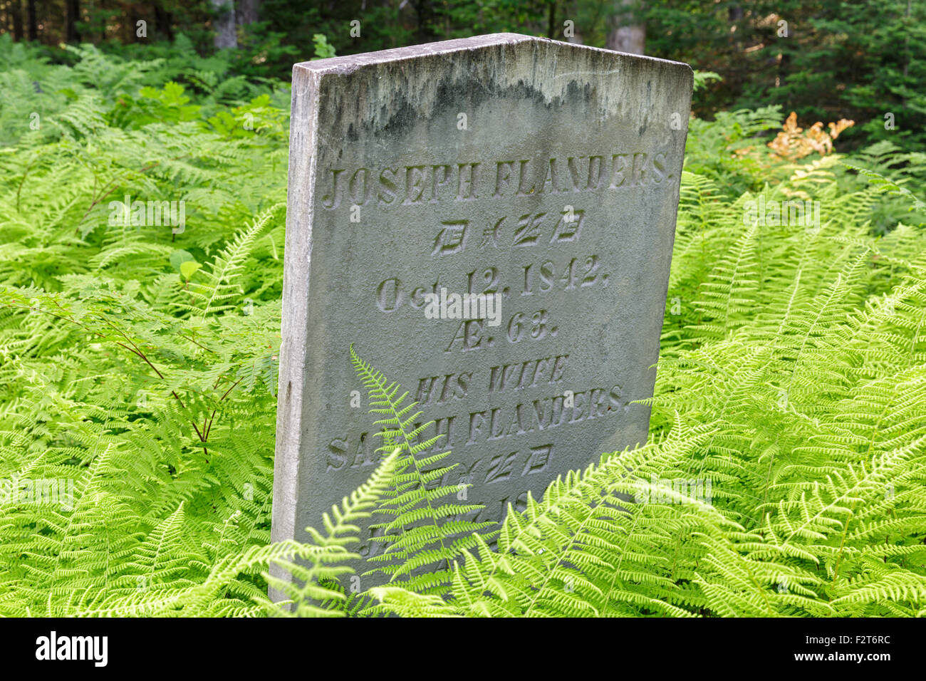 GilmanHall Cemetery along Sandwich Notch Road in Sandwich, New