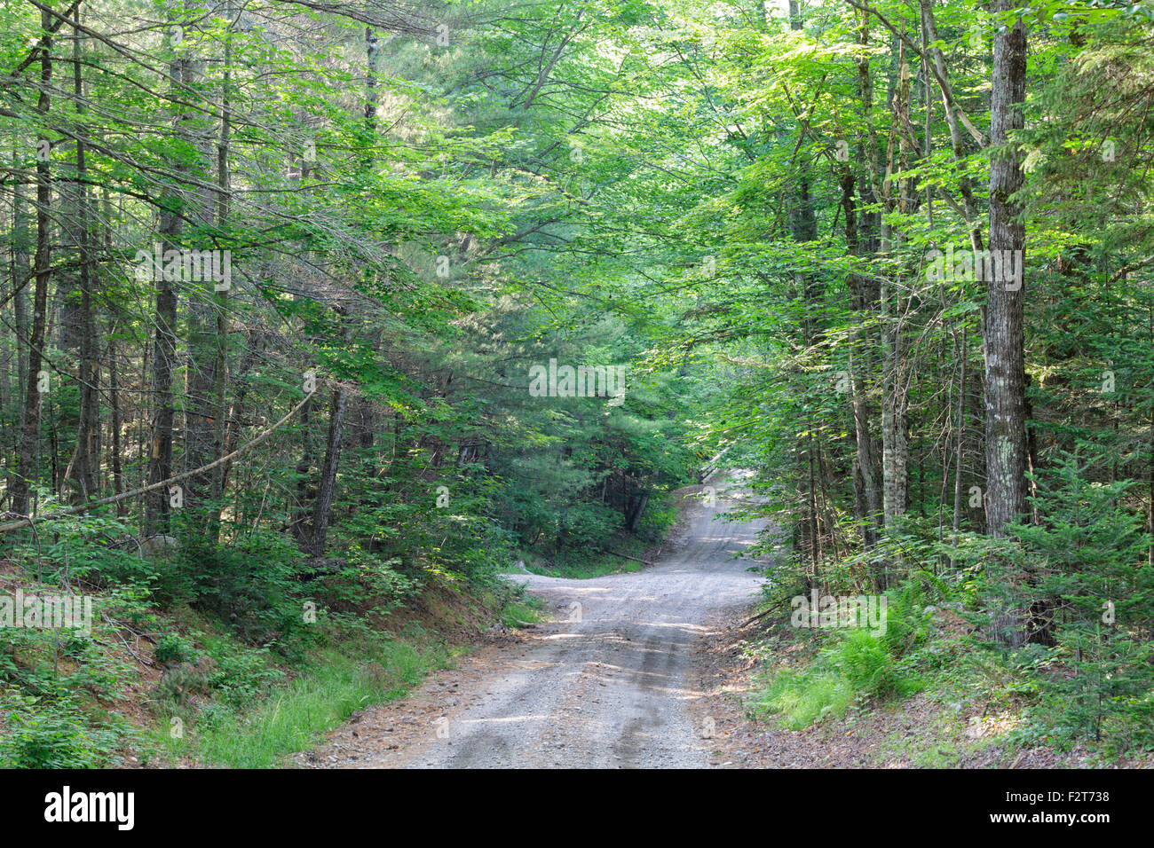 Sandwich Notch Road in Sandwich, New Hampshire USA during the summer