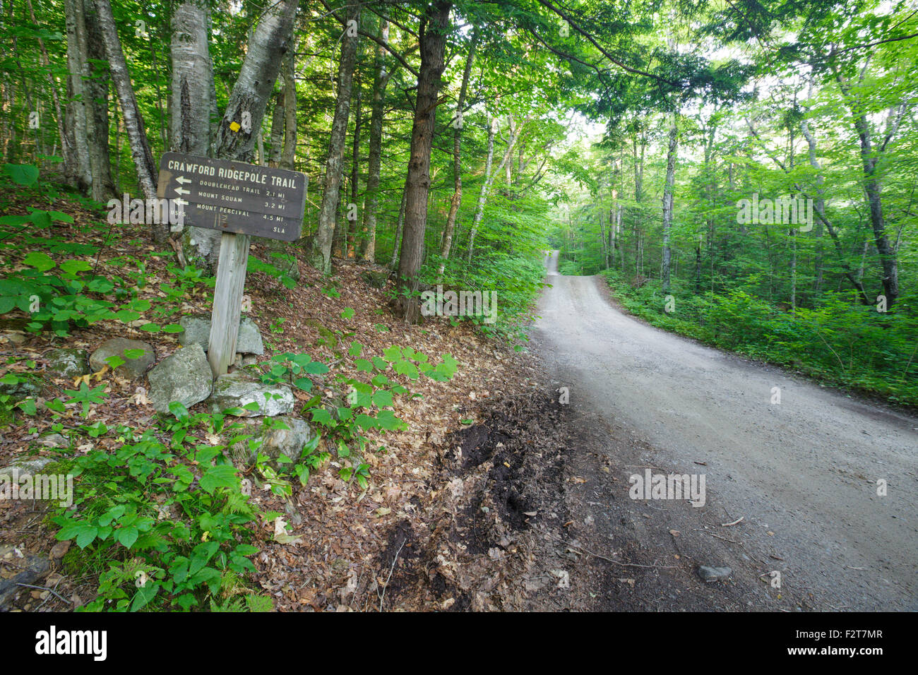 Sandwich Notch Road in Sandwich, New Hampshire USA during the summer
