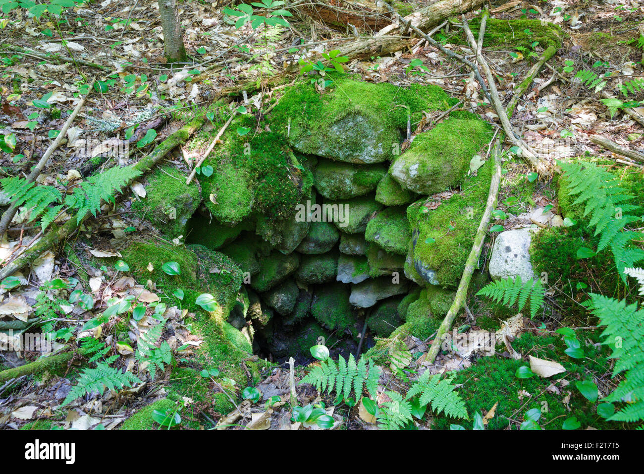 Dug well at the Samuel Wallace Farm home site along the abandoned North