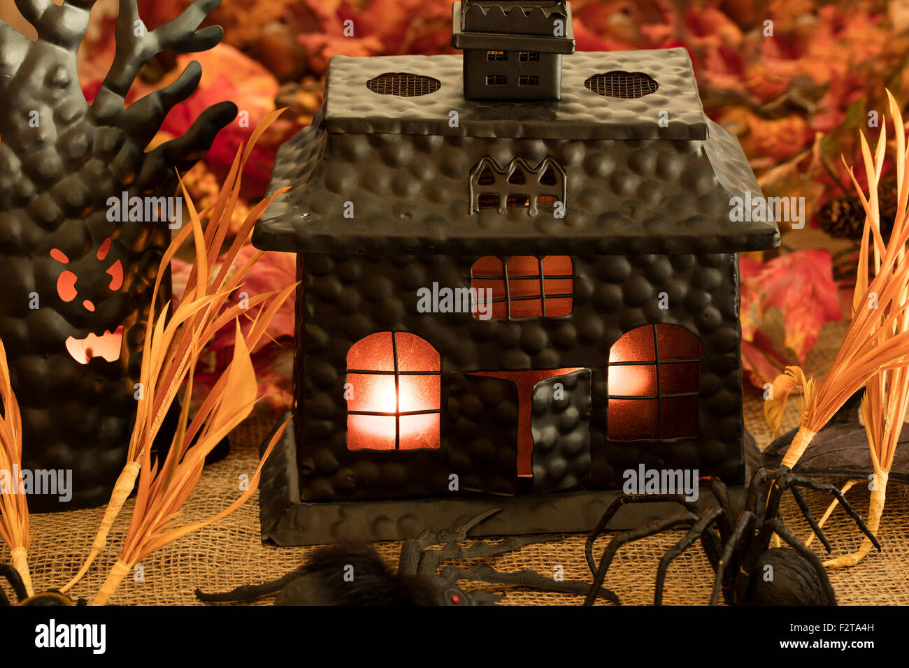 Scary house and tree, with spiders, rats and spooky characters Stock Photo