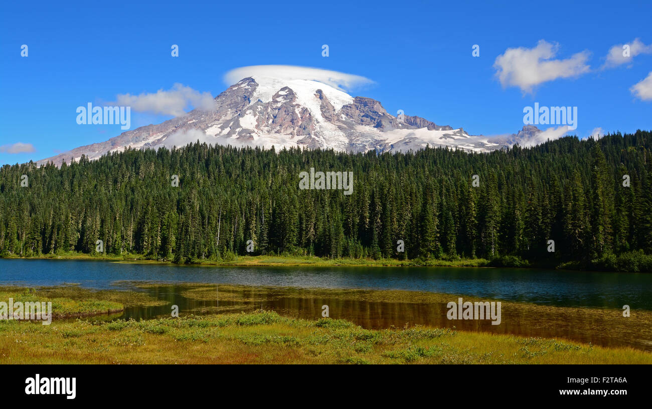 Mount Rainier view Stock Photo Alamy