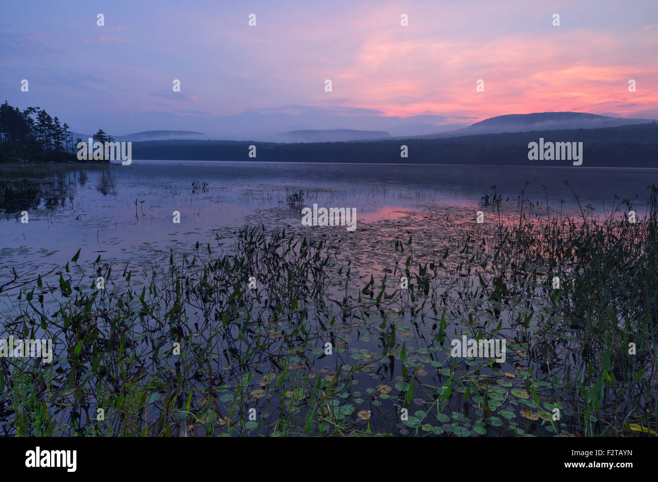 Foggy morning at Lake Tarleton in Piermont, New Hampshire during the