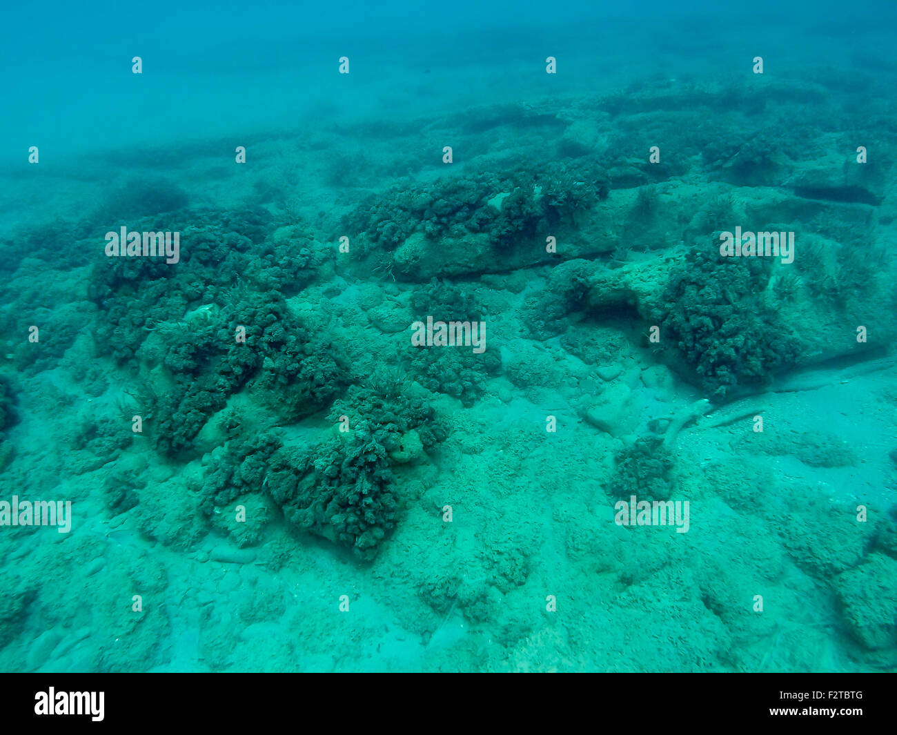 under armor ignite v slides