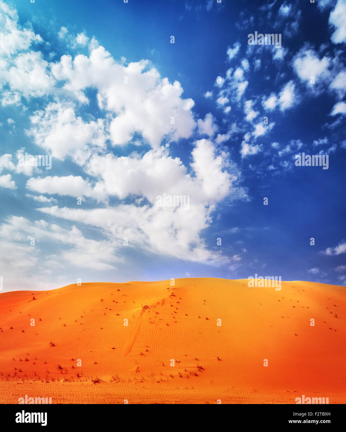 Beautiful desert landscape, bright orange sandy dune over blue cloudy background, beauty of wild area,  Abu Dhabi, Liwa, UAE Stock Photo