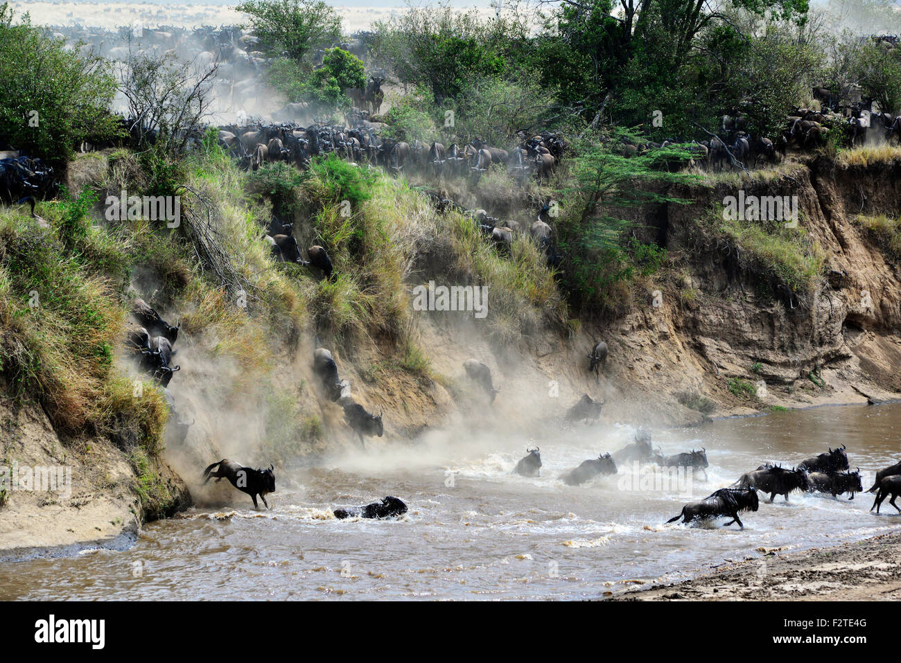 One of the most dramatic river crossings of recent years. Stock Photo