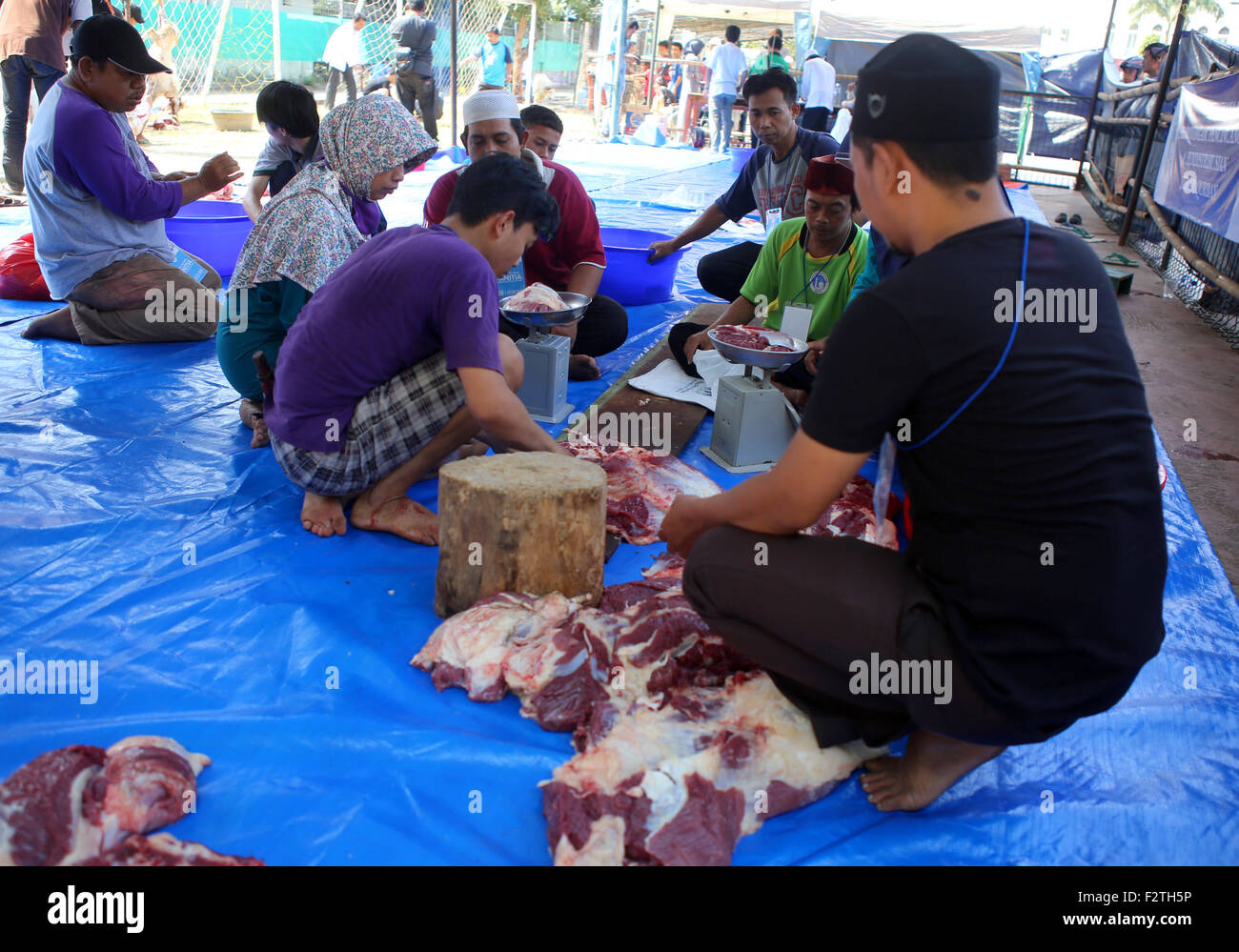 Jakarta, Indonesia. 24th September, 2015. Animal Sacrifice cuts made by cutting personnel supervised by animal health workers and pet owners who submit a goat or cow as a sacrifice which will then be distributed to those entitled to receive it Credit:  Denny Pohan/Alamy Live News Stock Photo