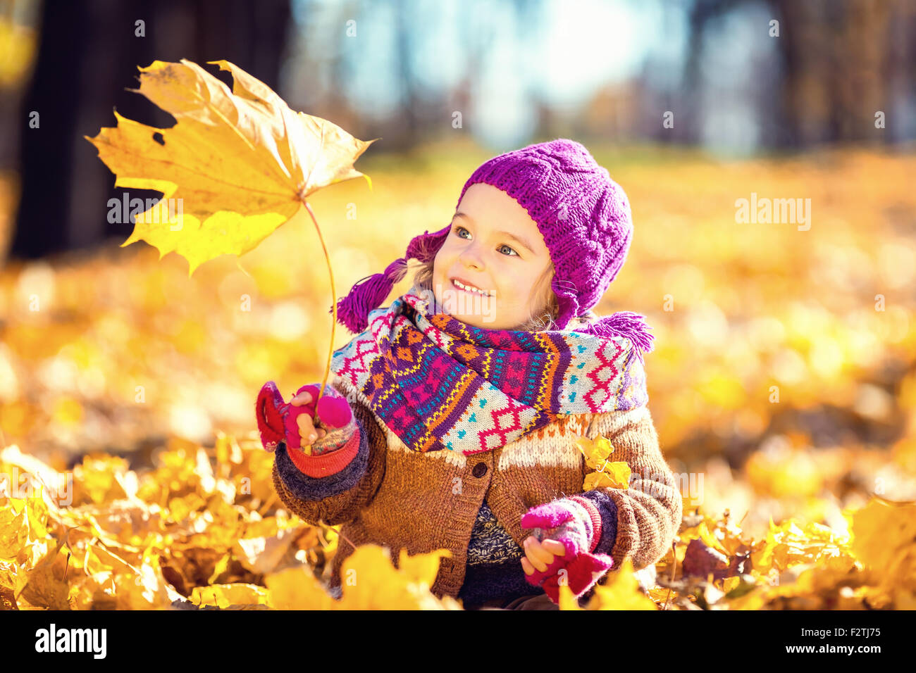 Little girl playing with autumn leaves Stock Photo - Alamy