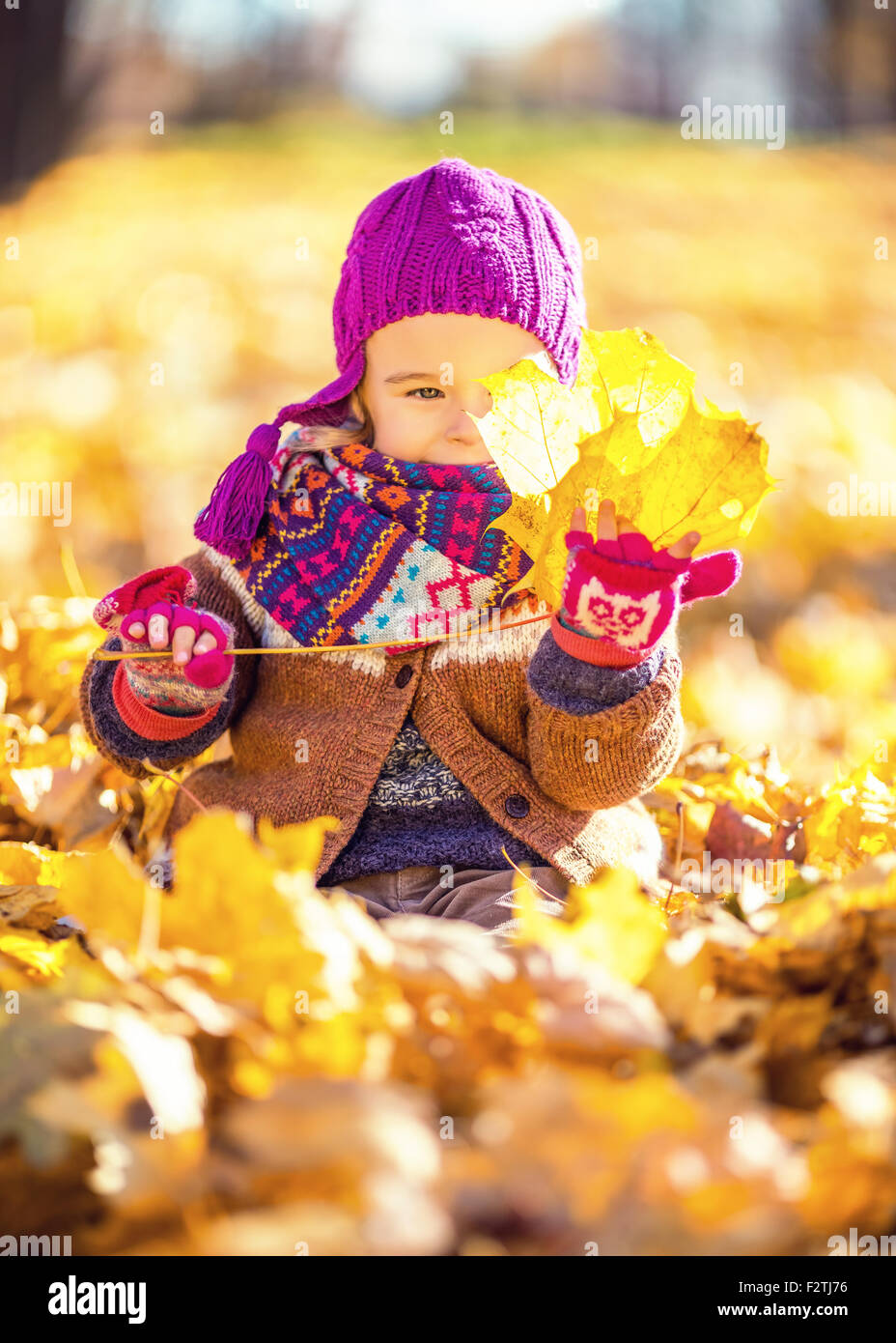 Little girl playing with autumn leaves Stock Photo - Alamy