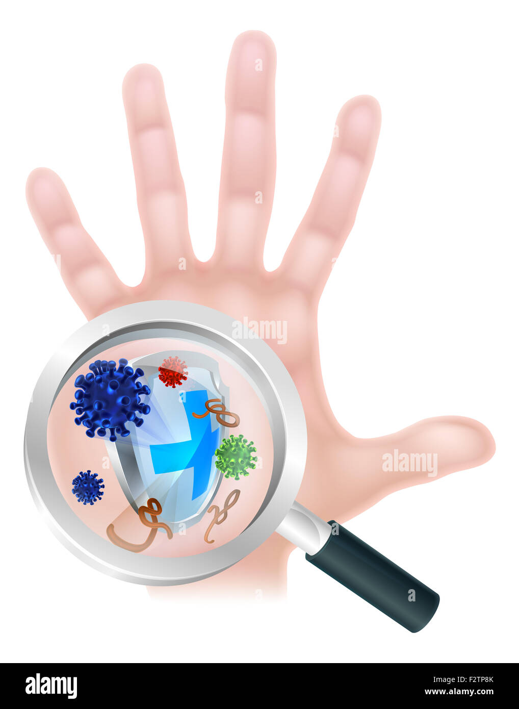 Hand wash shield protection magnifying glass bacteria virus hand concept of a magnifying glass zooming in on virus or bacteria c Stock Photo