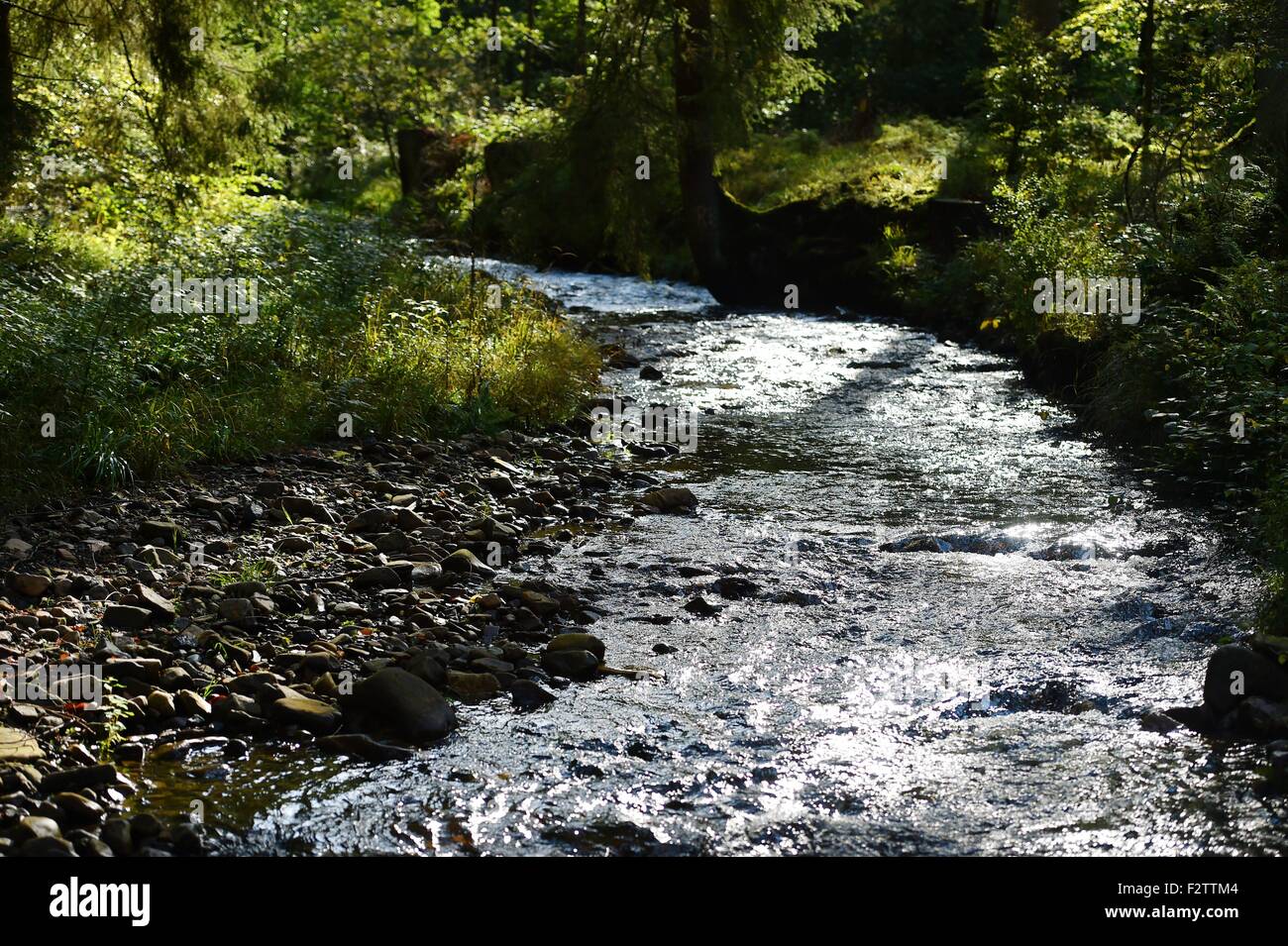 A small river in autumn, Germany, near city of Riefensbeek, 23. September 2015. Photo: Frank May Stock Photo