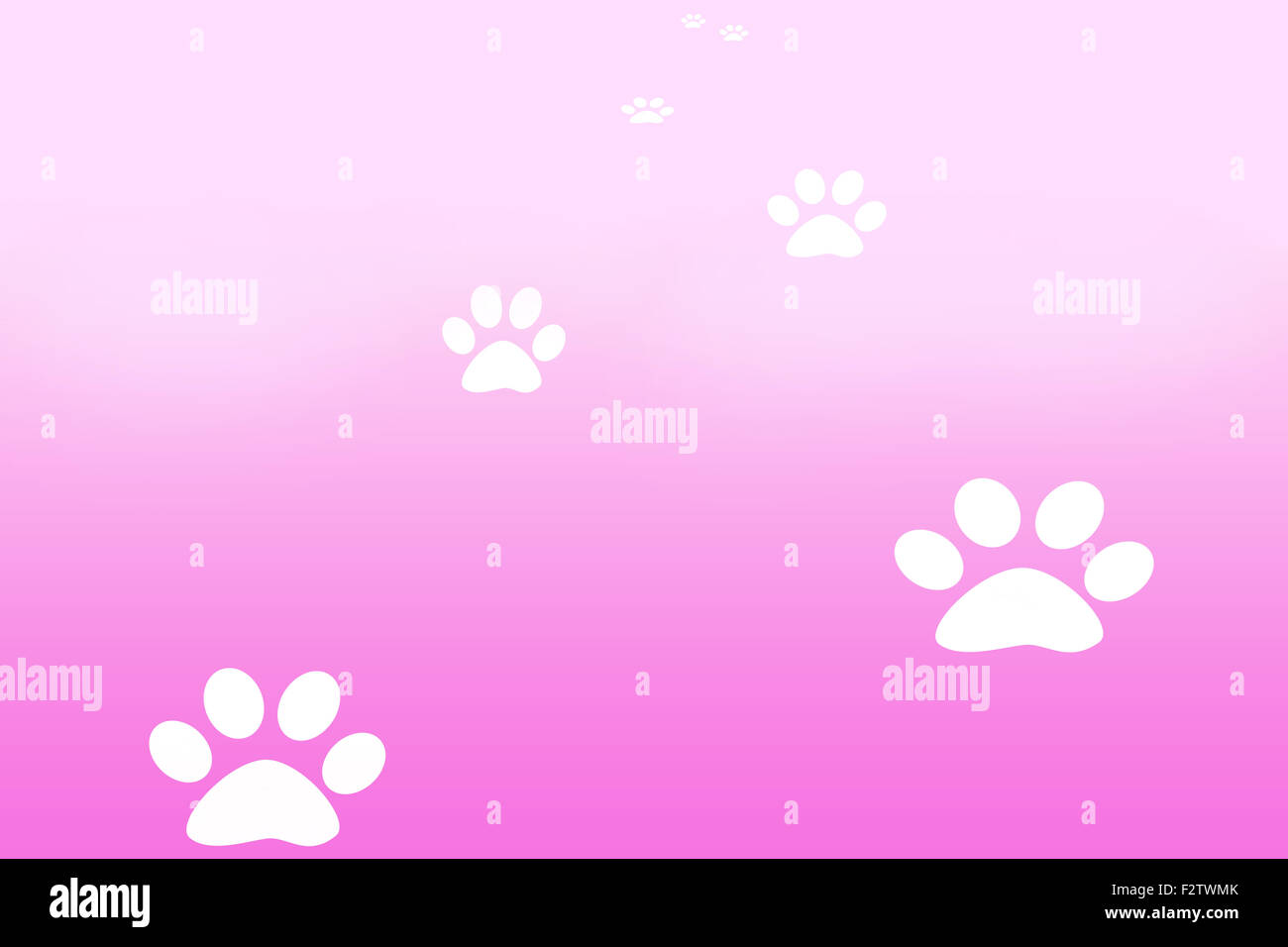 Paw prints illustration walking hi-res stock photography and images - Alamy