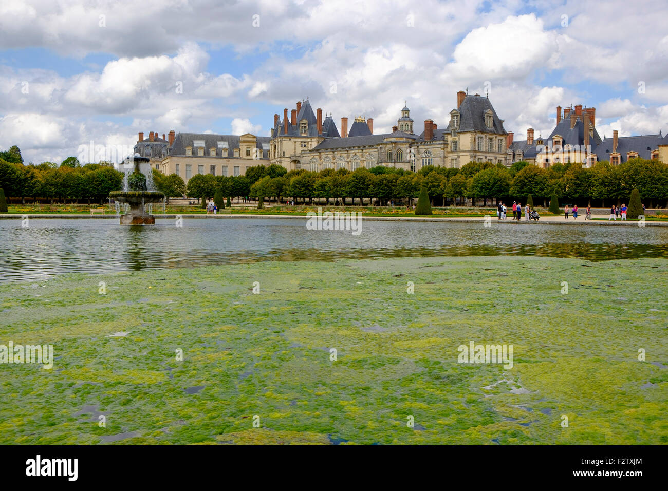 Blanket weed in the ornamental pond of Le Grand Parterre - the gardens of Chateau de Fontainebleau Palace Stock Photo