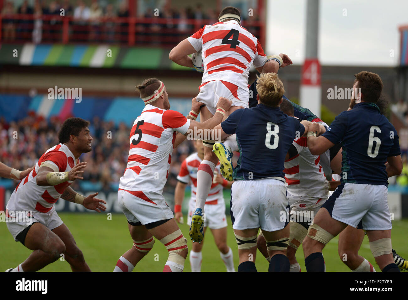 Luke thompson england world cup hi-res stock photography and images - Alamy