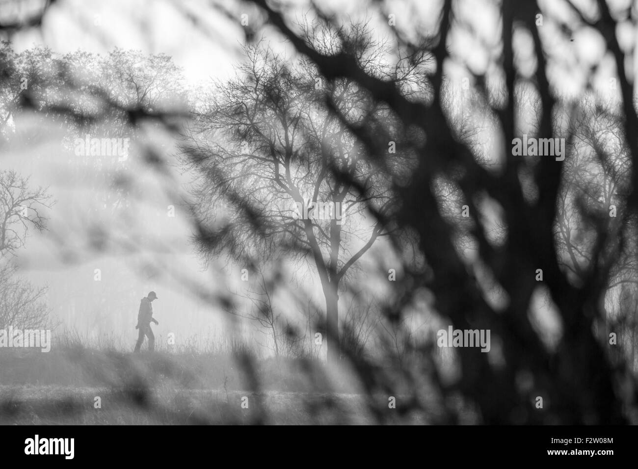 26.03.2015, Berlin, Berlin, Germany - A man runs over fields in Fruehdunst. 0GB150325D102CAROEX.JPG - NOT for SALE in G E R M A Stock Photo