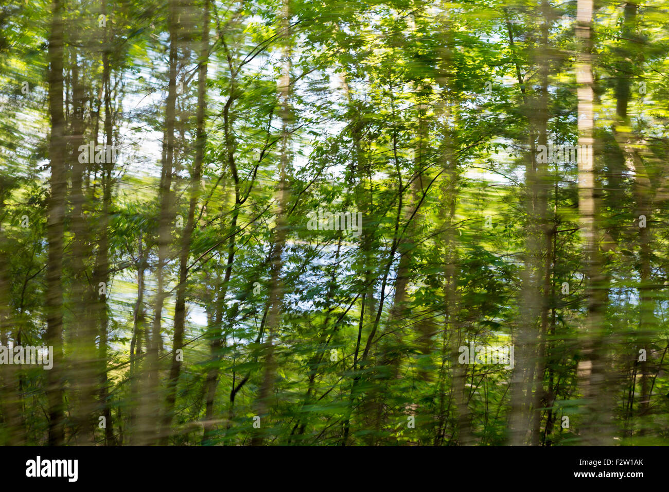 E g may hi-res stock photography and images - Alamy